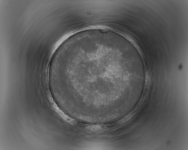 X0000115661054200912031328