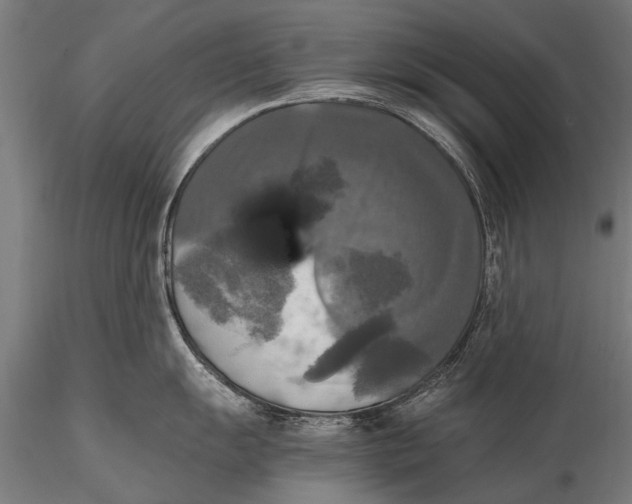 X0000115661055200912031328