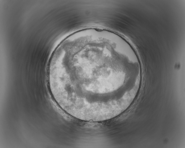 X0000115661056200912031328