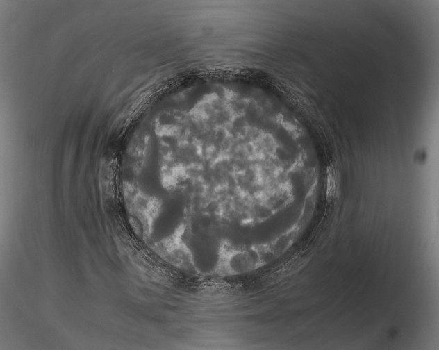X0000115661059200912031327