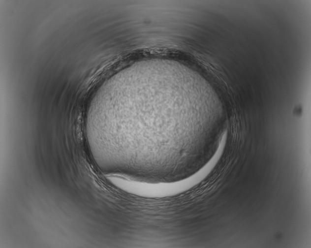 X0000115661060200912031327