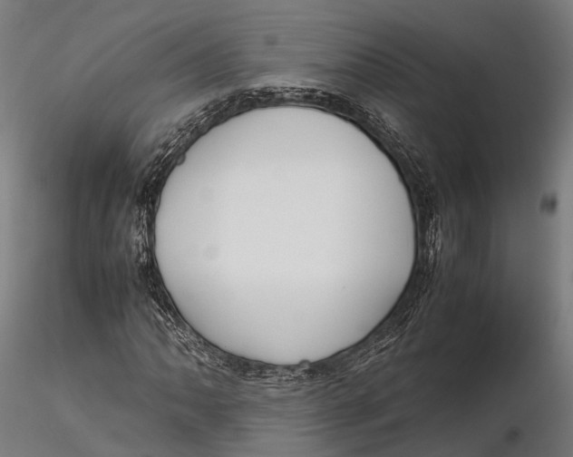 X0000115661062200912031327