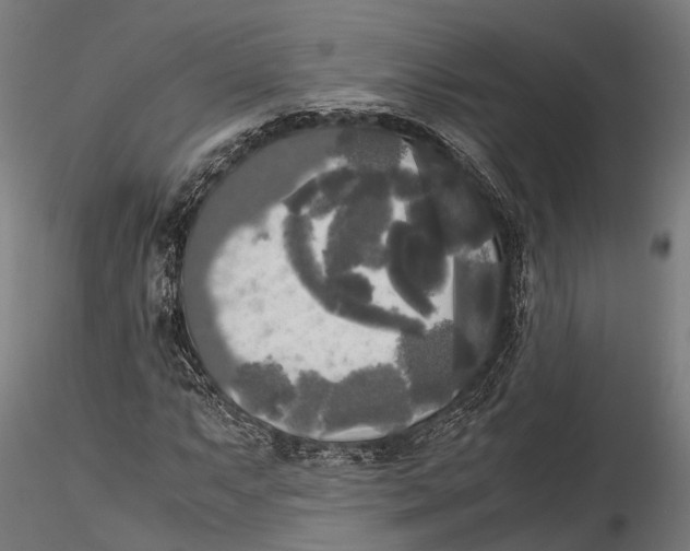 X0000115661063200912031327