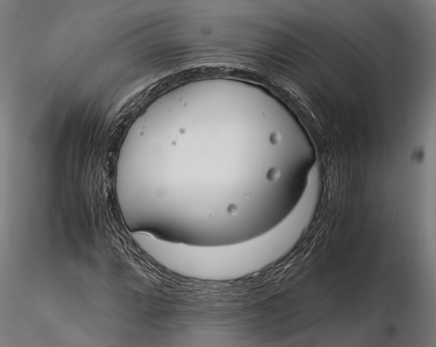 X0000115661064200912031327