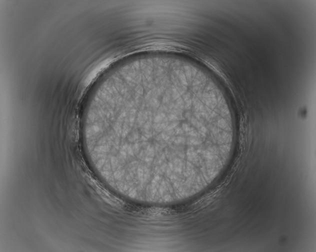 X0000115661067200912031327
