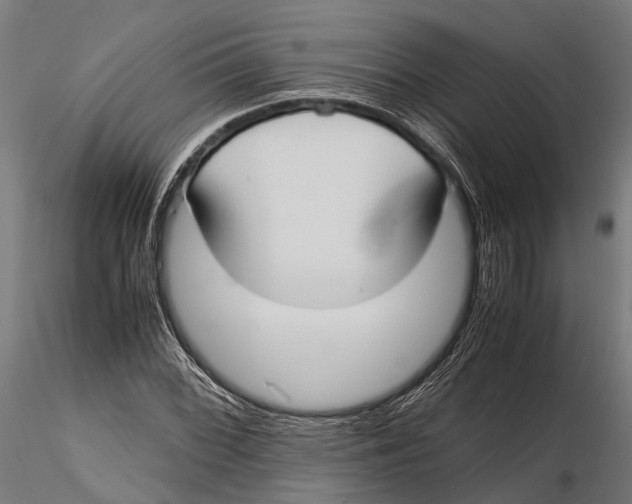 X0000115661068200912031327