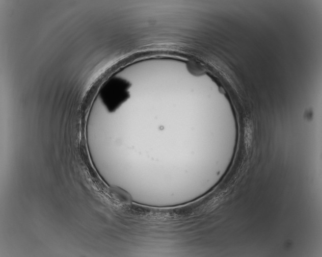 X0000115661069200912031327
