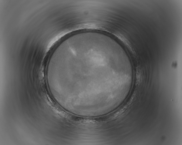 X0000115661070200912031327