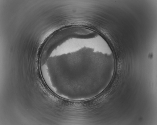 X0000115661071200912031327