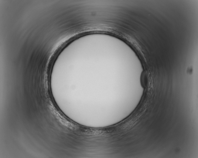 X0000115661072200912031327