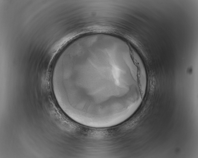 X0000115661074200912031327