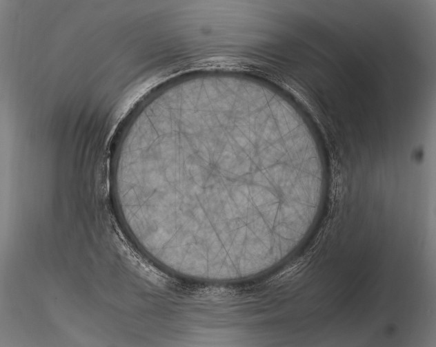 X0000115661075200912031327