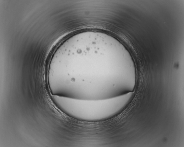 X0000115661076200912031327