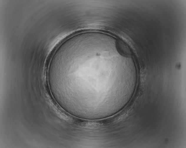 X0000115661077200912031327