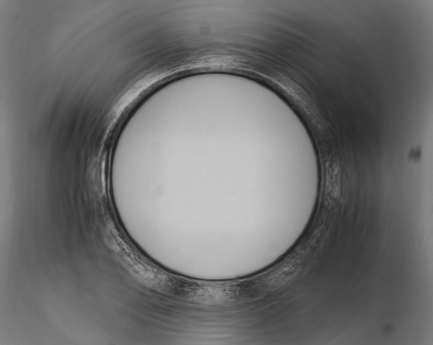 X0000115661078200912031327
