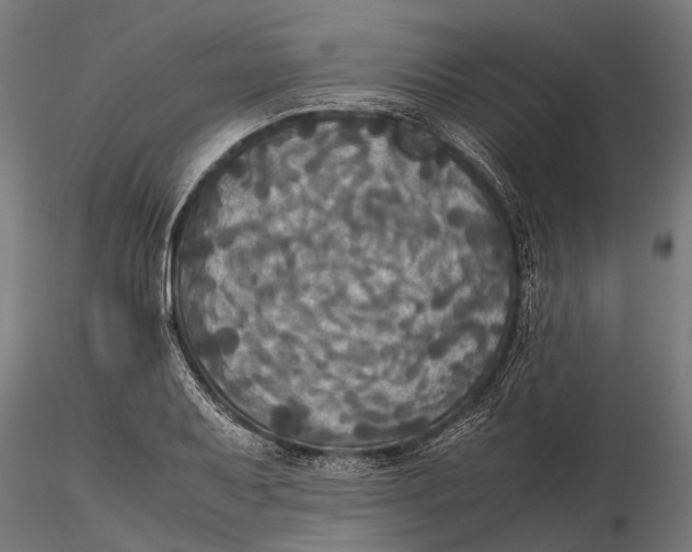 X0000115661079200912031327