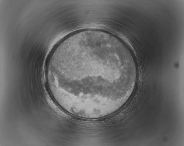 X0000115661080200912031327