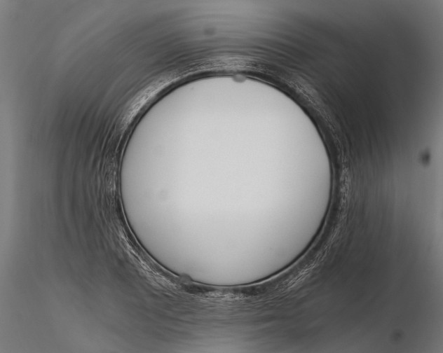 X0000115661081200912031327