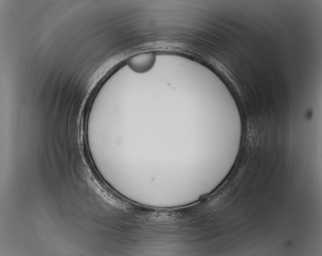 X0000115661082200912031327