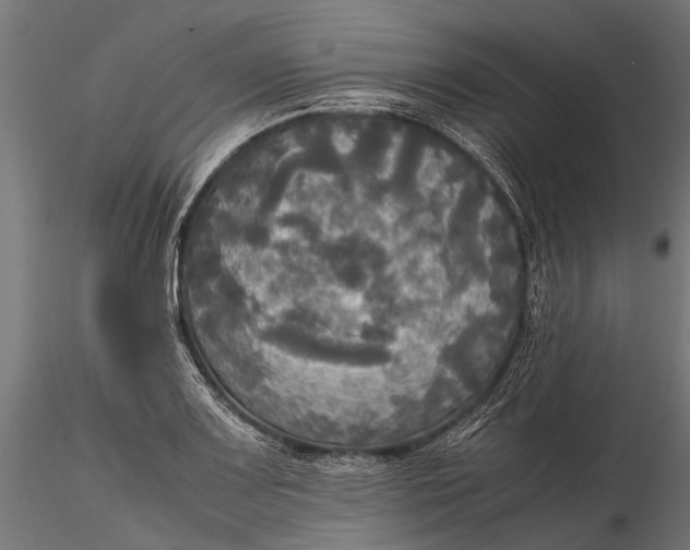 X0000115661083200912031327