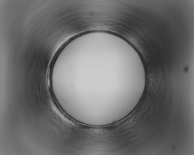 X0000115661084200912031327
