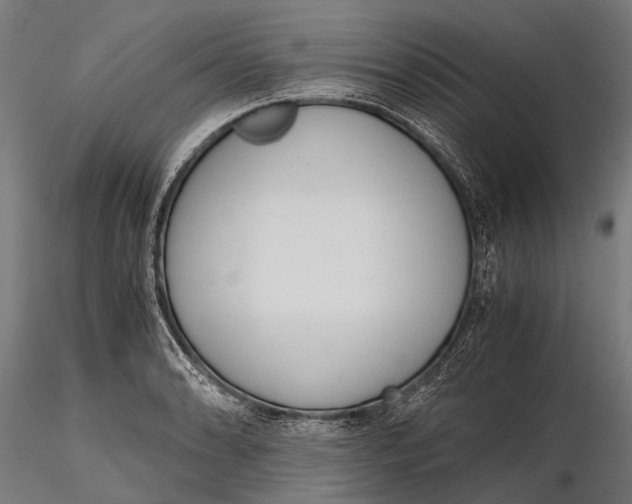 X0000115661086200912031327