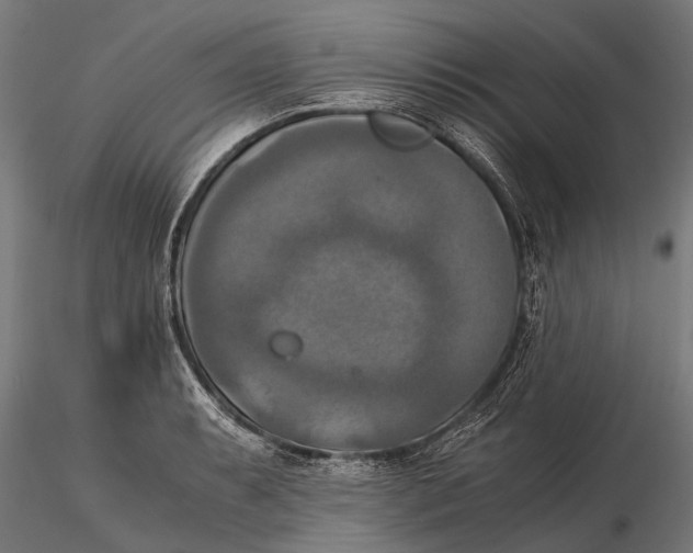 X0000115661087200912031327