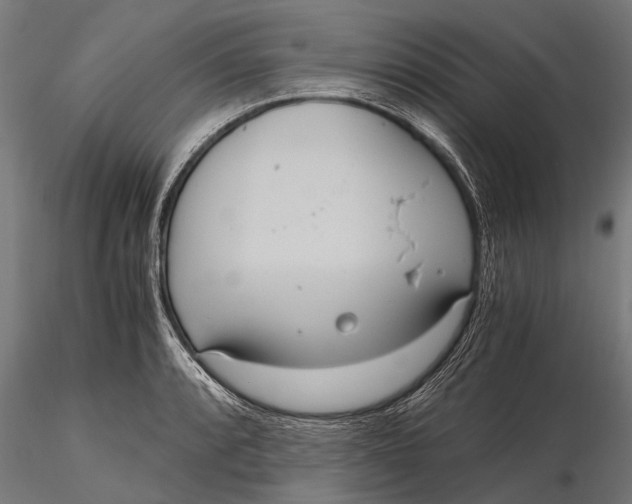 X0000115661088200912031327