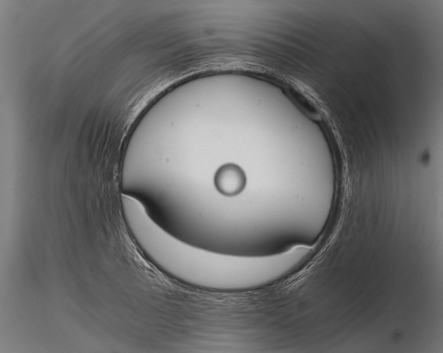 X0000115661089200912031327