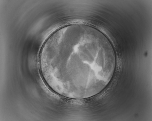 X0000115661090200912031327