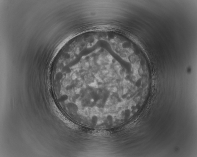 X0000115661091200912031327