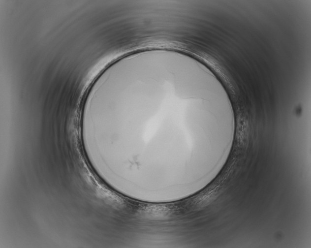 X0000115661094200912031327