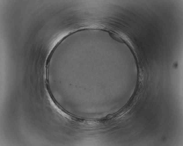 X0000115661095200912031327