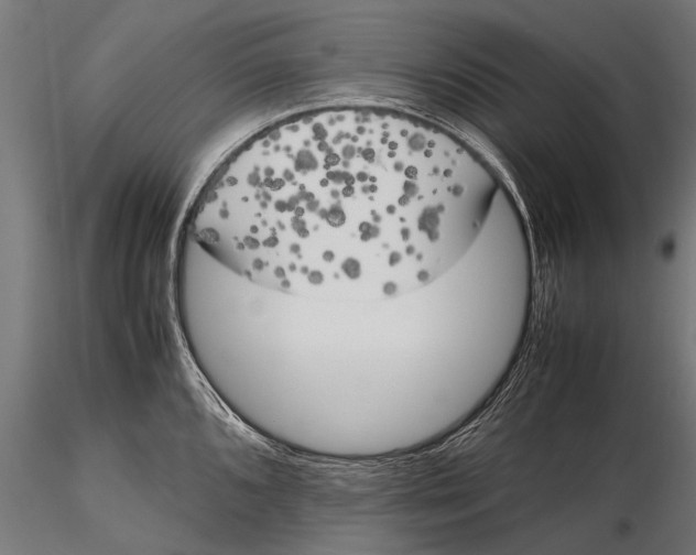 X0000115661096200912031327