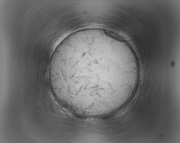 X0000115661097200912031327