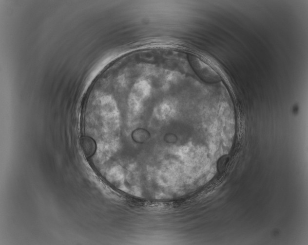 X0000115661099200912031327