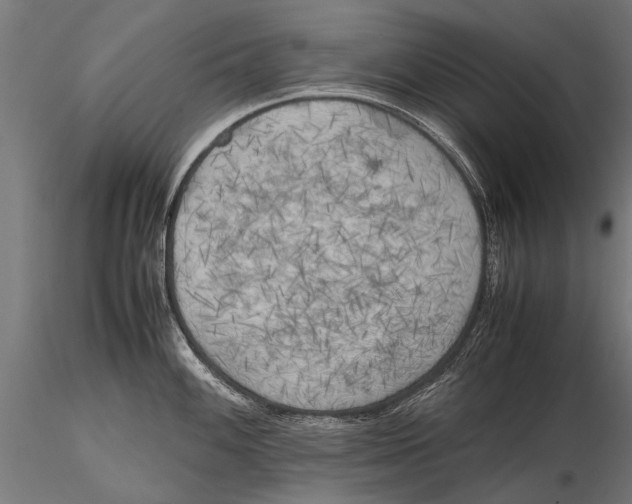 X0000115661100200912031327