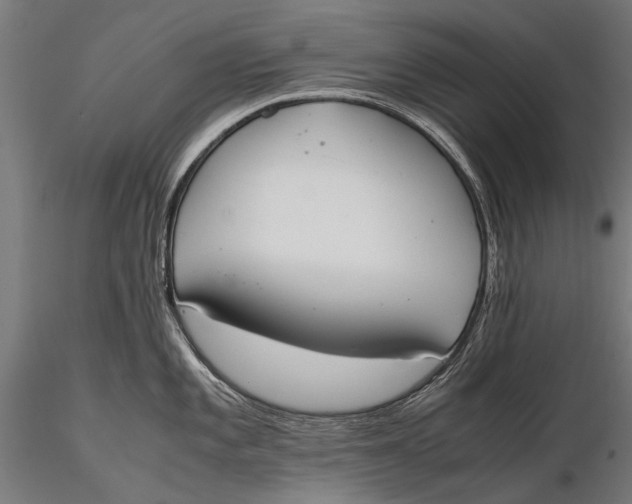 X0000115661101200912031327