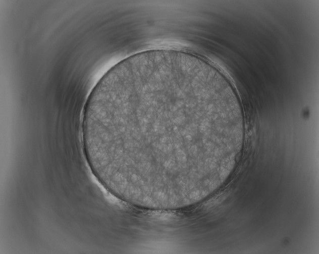 X0000115661103200912031327