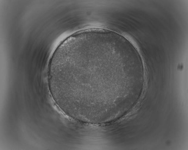 X0000115661104200912031327