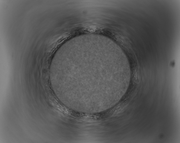 X0000115661105200912031326