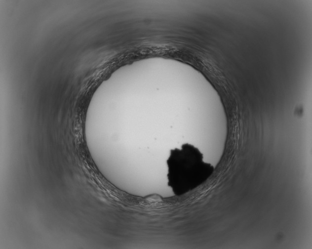 X0000115661109200912031326