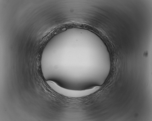 X0000115661110200912031326