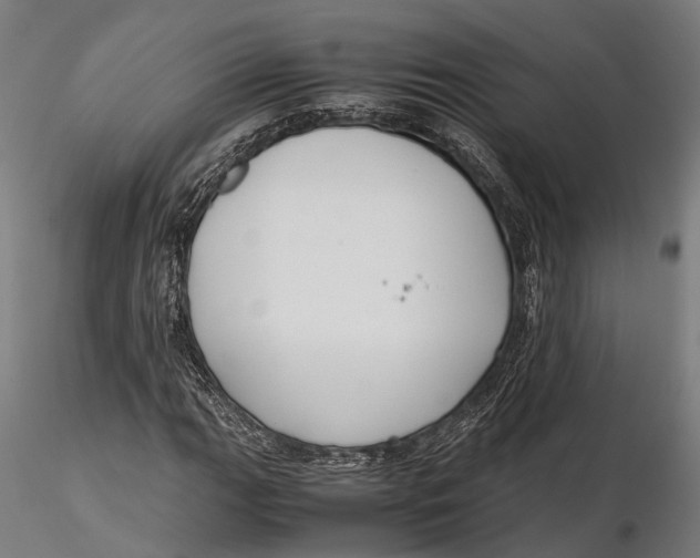 X0000115661111200912031326
