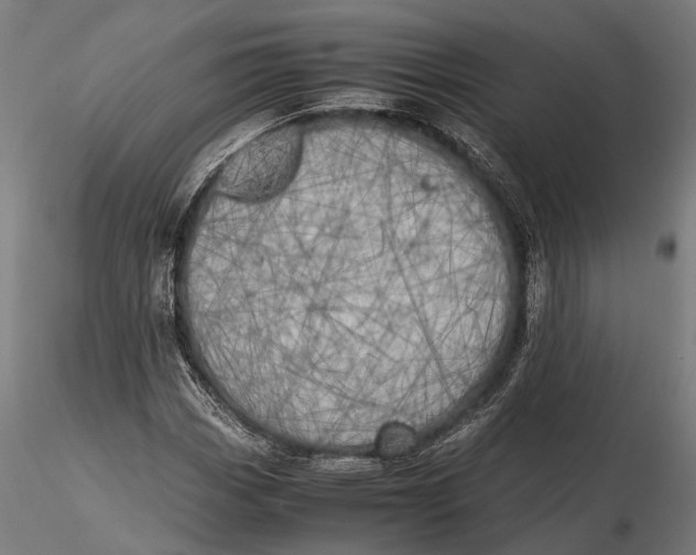 X0000115661113200912031326