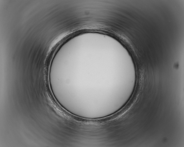 X0000115661114200912031326