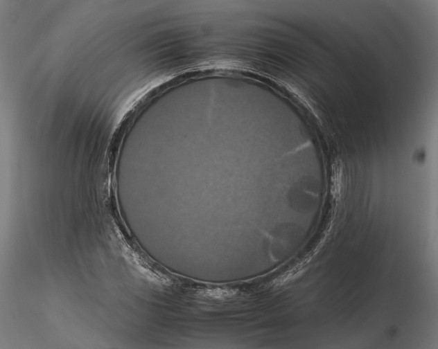 X0000115661117200912031326