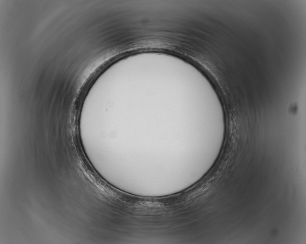 X0000115661119200912031326