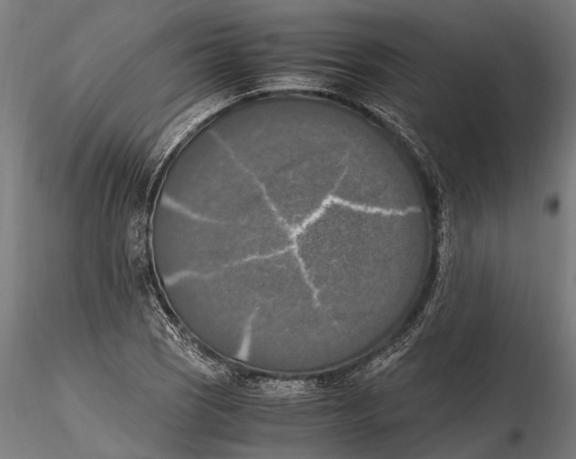 X0000115661121200912031326