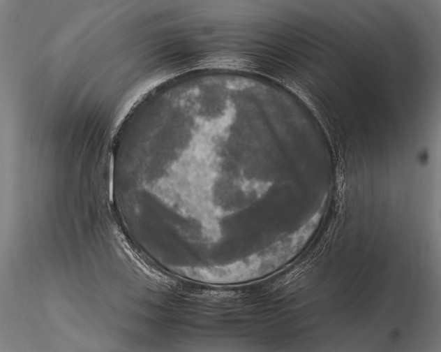 X0000115661123200912031326